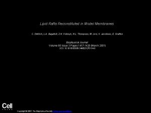 Lipid Rafts Reconstituted in Model Membranes C Dietrich