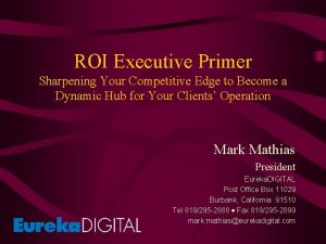 ROI Executive Primer Sharpening Your Competitive Edge to