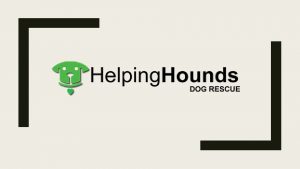 Helping Hounds Dog Rescue 2008 Group of people