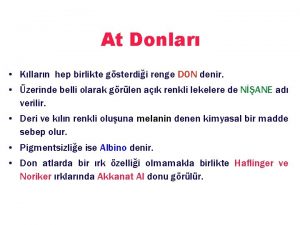 At Donlar Kllarn hep birlikte gsterdii renge DON