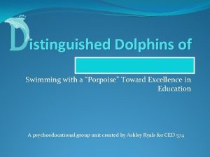 istinguished Dolphins of Hollingers Island Swimming with a