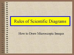 Rules of Scientific Diagrams How to Draw Microscopic