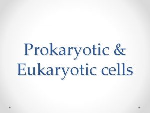 Prokaryotic Eukaryotic cells Cells of all living things