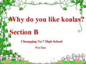 Why do you like koalas Section B Chongqing