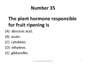 Number 35 The plant hormone responsible for fruit
