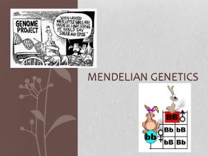 MENDELIAN GENETICS Gregor Johann Mendel 1822 1884 Austrian