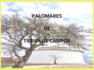PALOMARES DE TIERRA DE CAMPOS PALOMAR DEL CAMINO