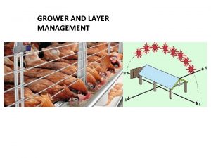 GROWER AND LAYER MANAGEMENT Birds can be reared