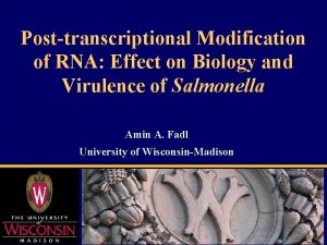 Posttranscriptional Modification of RNA Effect on Biology and