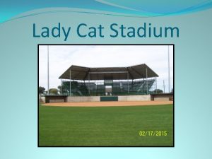 Lady Cat Stadium MultiSport Athletes Big time players