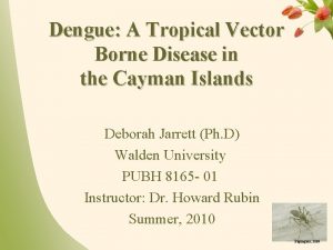 Dengue A Tropical Vector Borne Disease in the