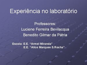 Experincia no laboratrio Professores Luciene Ferreira Bevilacqua Benedito