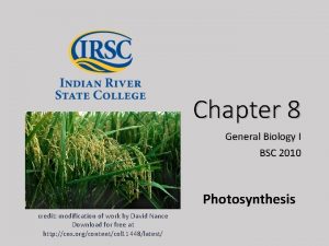 Chapter 8 General Biology I BSC 2010 Photosynthesis