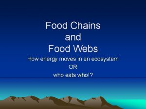 Food Chains and Food Webs How energy moves