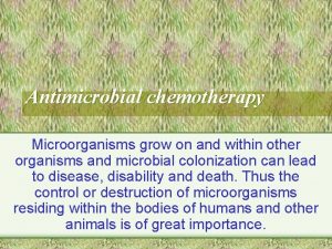 Antimicrobial chemotherapy Microorganisms grow on and within other