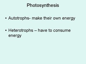 Photosynthesis Autotrophs make their own energy Heterotrophs have