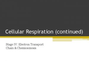 Cellular Respiration continued Stage IV Electron Transport Chain
