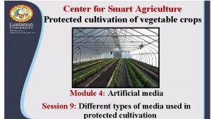 Center for Smart Agriculture Protected cultivation of vegetable