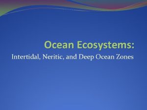 Ocean Ecosystems Intertidal Neritic and Deep Ocean Zones