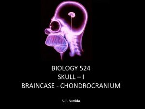 BIOLOGY 524 SKULL I BRAINCASE CHONDROCRANIUM S S