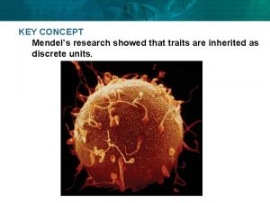KEY CONCEPT Mendels research showed that traits are