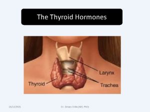 The Thyroid Hormones 15122021 Dr Omary Chillo MD