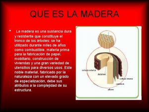 QUE ES LA MADERA La madera es una