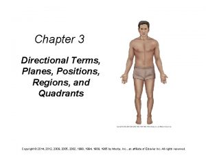 Chapter 3 Directional Terms Planes Positions Regions and