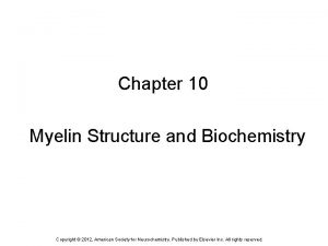 Chapter 10 Myelin Structure and Biochemistry Copyright 2012