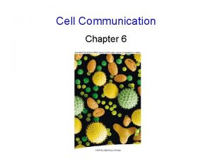 Cell Communication Chapter 6 Cell Communication between cells