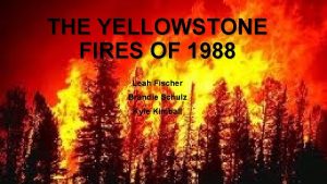 THE YELLOWSTONE FIRES OF 1988 Leah Fischer Brandie