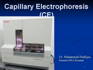 Capillary Electrophoresis CE Dr Muhammad Shafique Forensic DNA