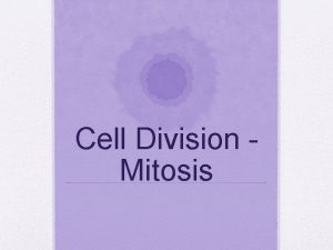 Cell Division Mitosis Cell Division Cell division is