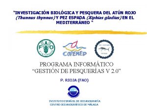 INVESTIGACIN BIOLGICA Y PESQUERA DEL ATN ROJO Thunnus