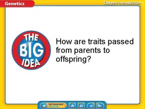 How are traits passed from parents to offspring