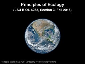 Principles of Ecology LSU BIOL 4253 Section 3