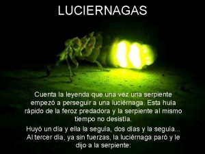 LUCIERNAGAS Cuenta la leyenda que una vez una