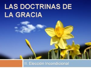 LAS DOCTRINAS DE LA GRACIA II Eleccin Incondicional