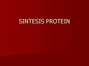 SINTESIS PROTEIN Transfer RNA t RNA m RNA