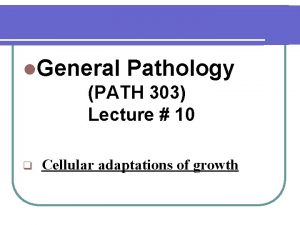 l General Pathology PATH 303 Lecture 10 q