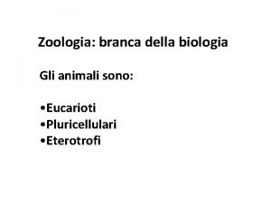 Zoologia branca della biologia Gli animali sono Eucarioti