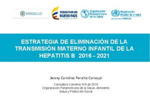 ESTRATEGIA DE ELIMINACIN DE LA TRANSMISIN MATERNO INFANTIL