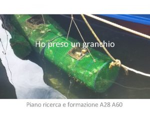 Ho preso un granchio Piano ricerca e formazione