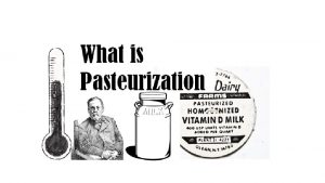 Discovery of Pasteurization The process of pasteurization was