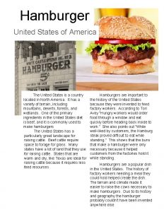Hamburger United States of America The United States