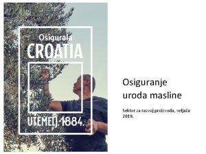 Osiguranje uroda masline Sektor za razvoj proizvoda veljaa