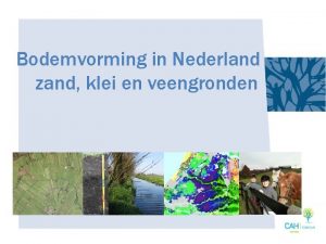 Bodemvorming in Nederland zand klei en veengronden Bodem