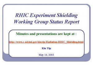 RHIC Experiment Shielding Working Group Status Report Minutes