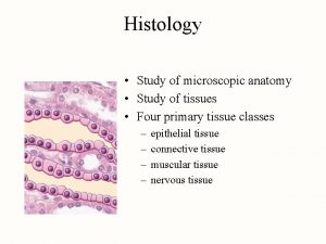 Histology Study of microscopic anatomy Study of tissues