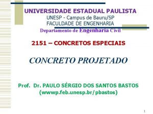 UNIVERSIDADE ESTADUAL PAULISTA UNESP Campus de BauruSP FACULDADE